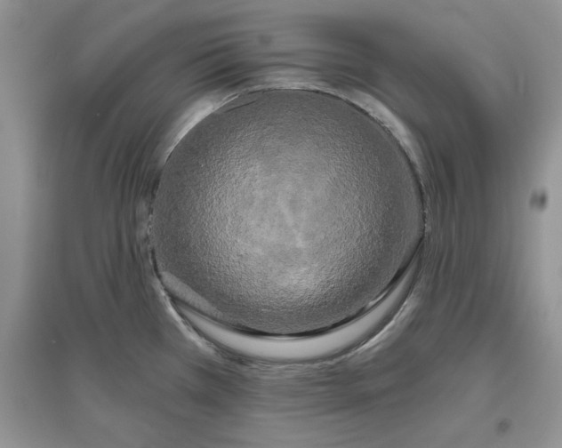 X0000097631385200803142015