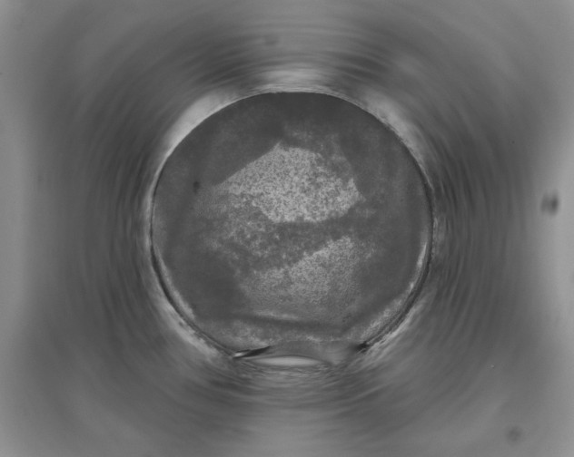 X0000097631386200803142015