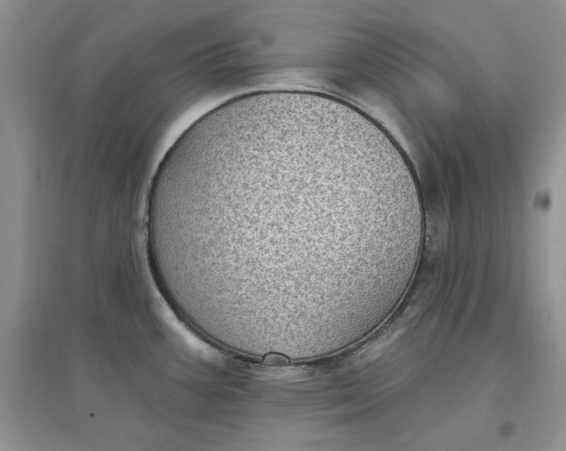 X0000097631387200803142015