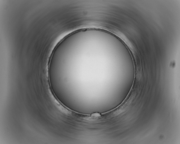 X0000097631388200803142015