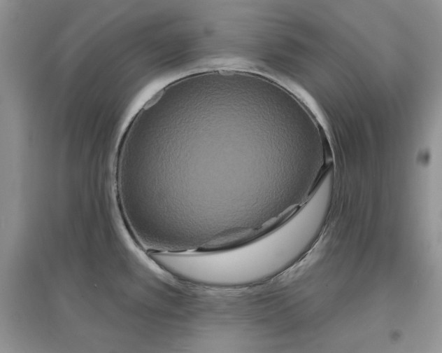 X0000097631389200803142015