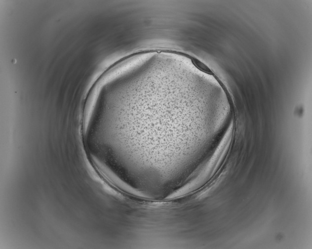 X0000097631390200803142015