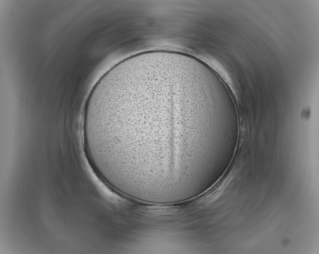 X0000097631391200803142015