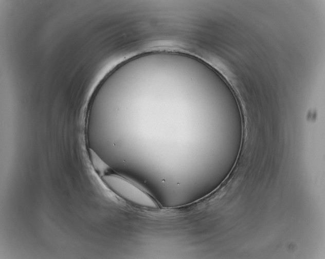 X0000097631392200803142015