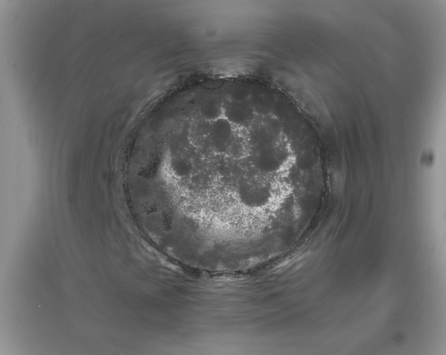 X0000097631393200803142014