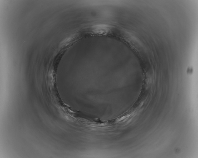 X0000097631394200803142014