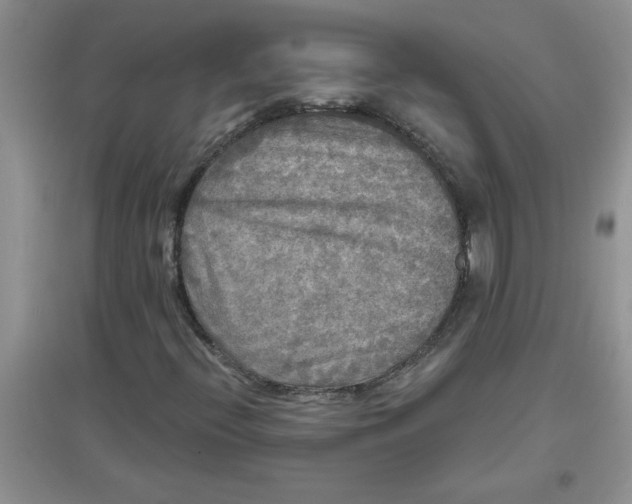 X0000097631396200803142014