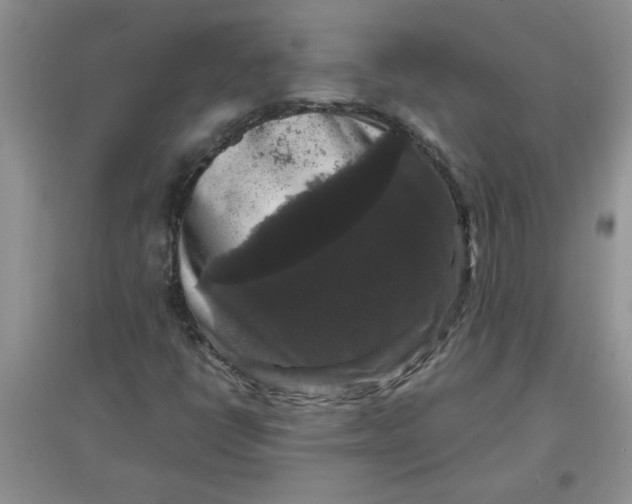 X0000097631398200803142014