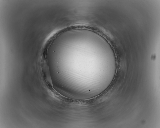 X0000097631400200803142014