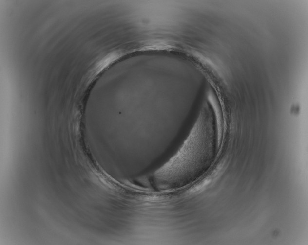 X0000097631401200803142014