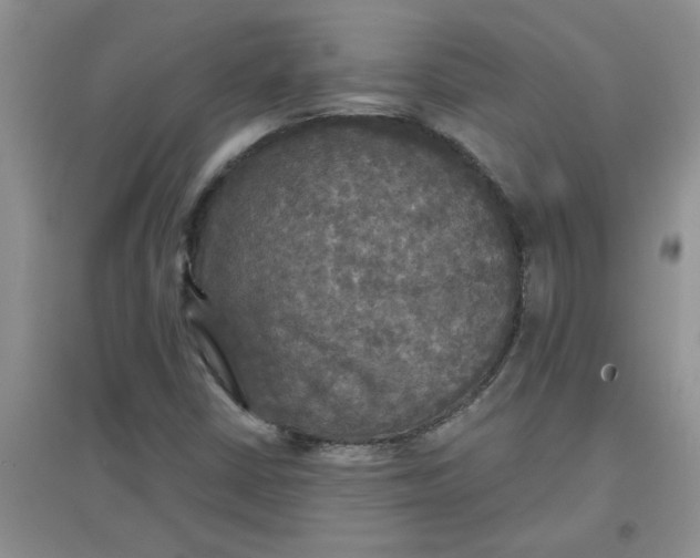 X0000097631402200803142014