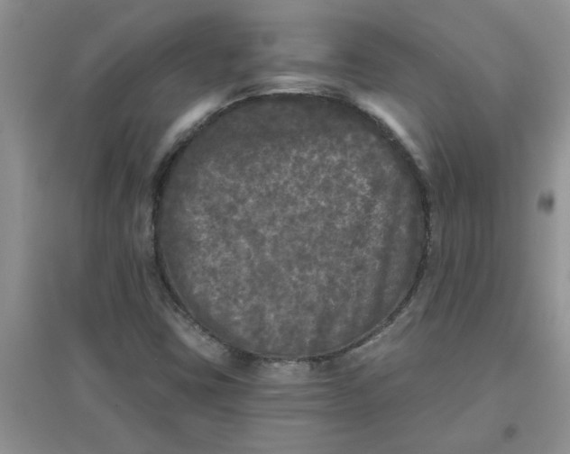 X0000097631403200803142014