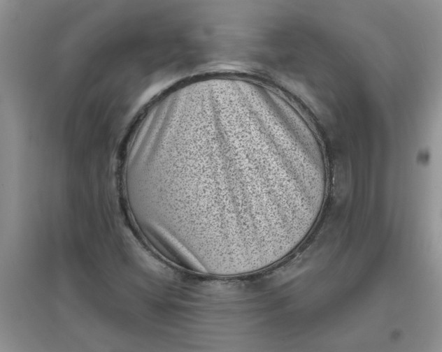 X0000097631404200803142014