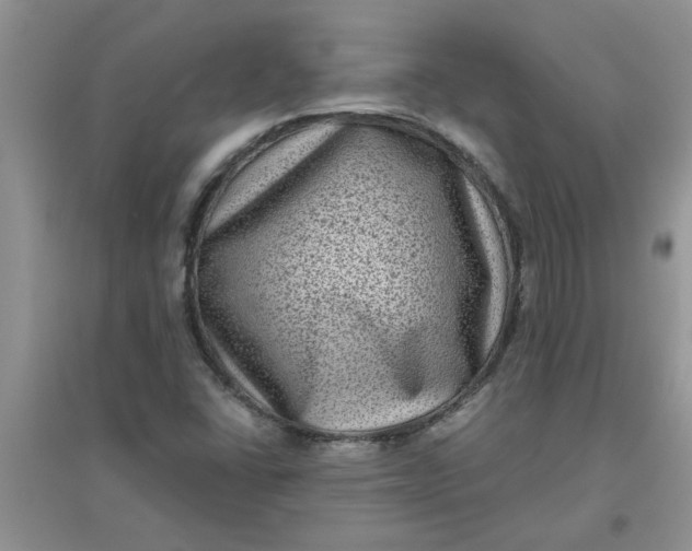 X0000097631406200803142014