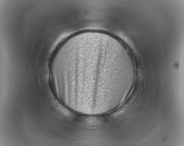 X0000097631408200803142014