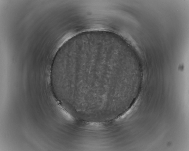 X0000097631409200803142014