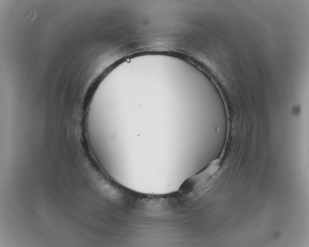 X0000097631410200803142014