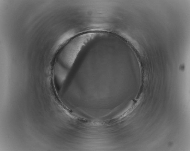 X0000097631411200803142014