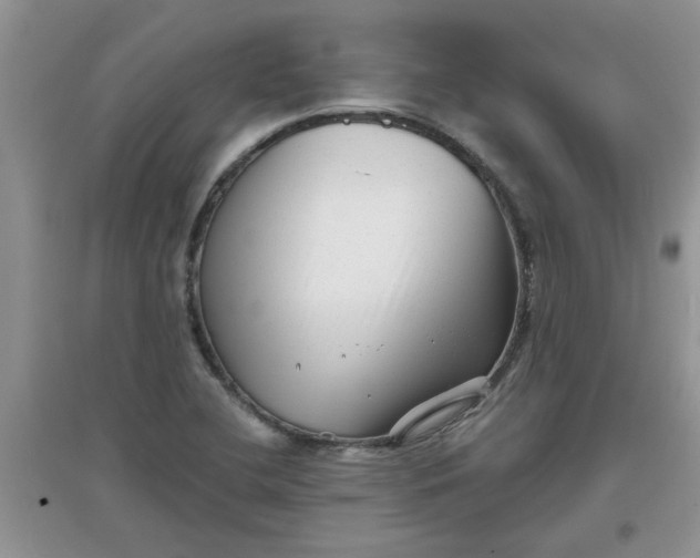 X0000097631412200803142014