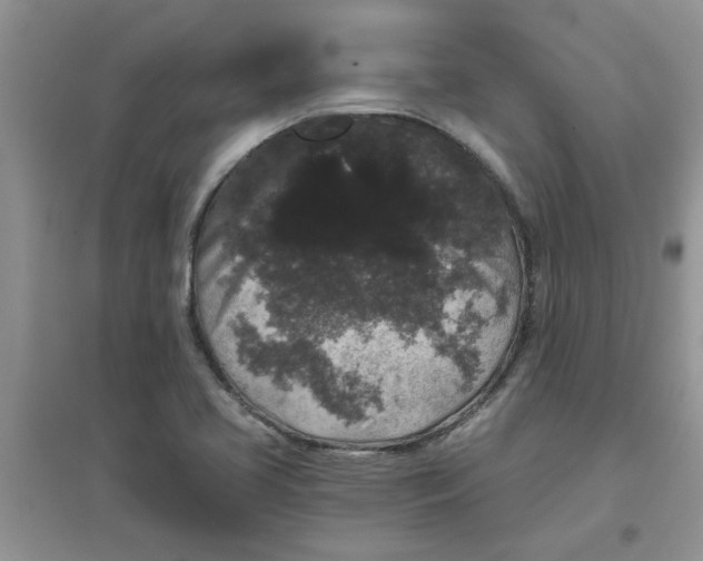 X0000097631413200803142014