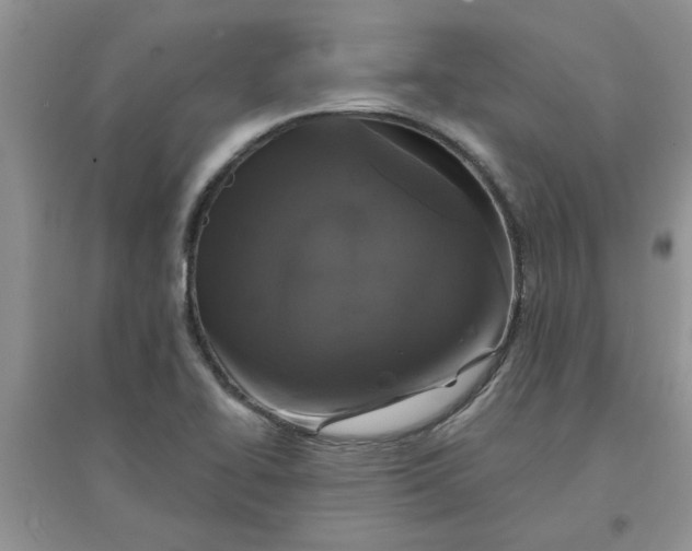 X0000097631414200803142014