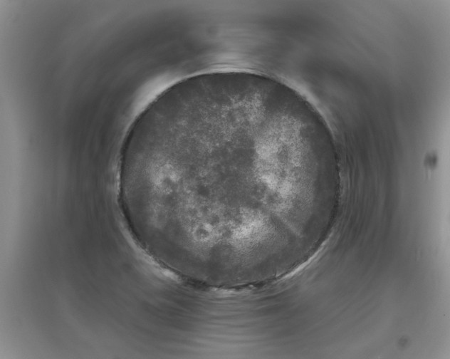 X0000097631415200803142015