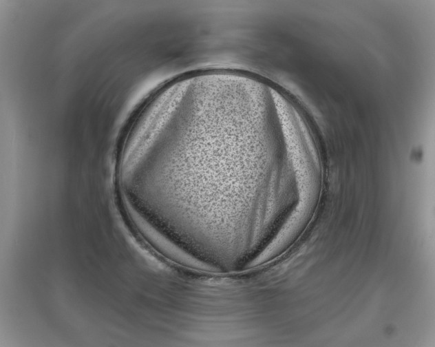 X0000097631416200803142015