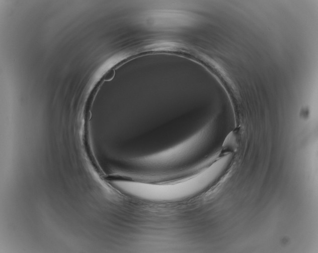 X0000097631418200803142015