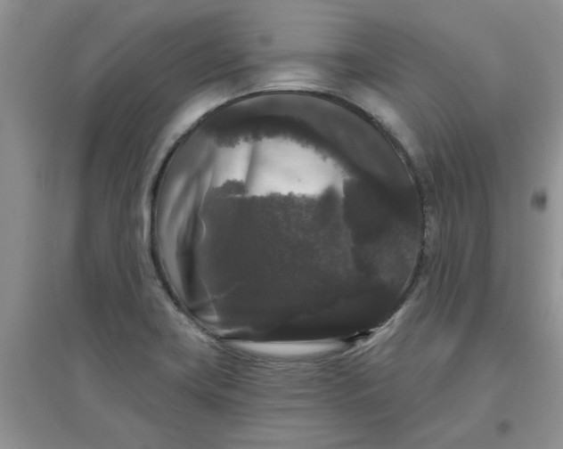 X0000097631419200803142015