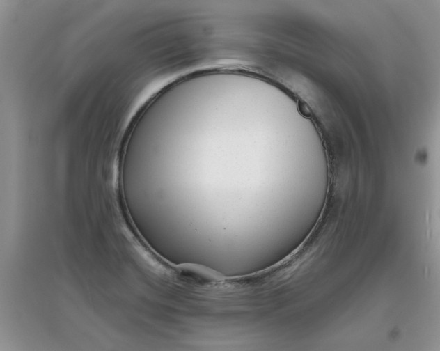 X0000097631420200803142015