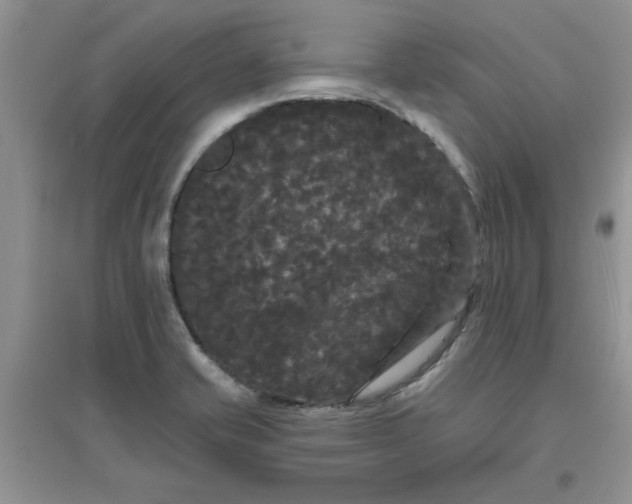 X0000097631421200803142015