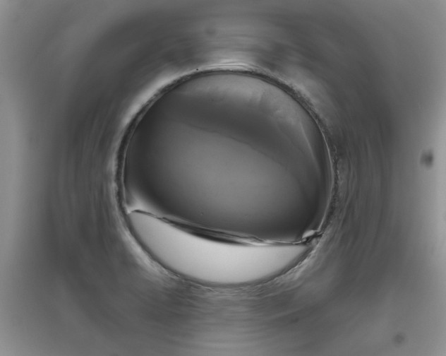 X0000097631422200803142015