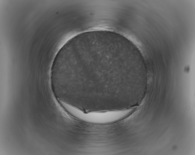 X0000097631423200803142015