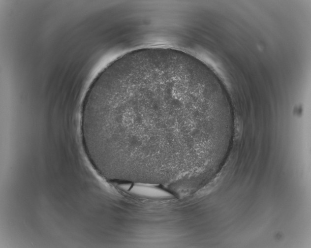 X0000097631424200803142015