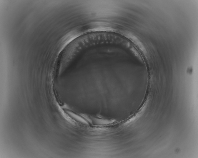 X0000097631425200803142015