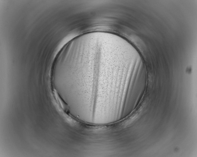 X0000097631426200803142015