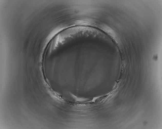 X0000097631427200803142015