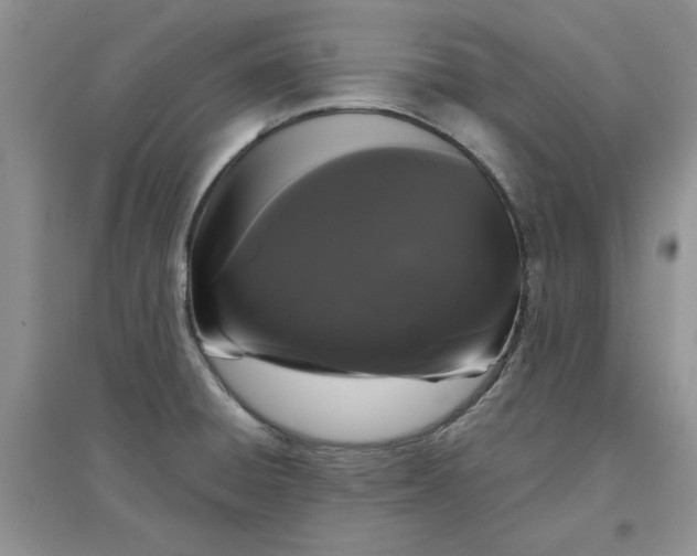 X0000097631428200803142015