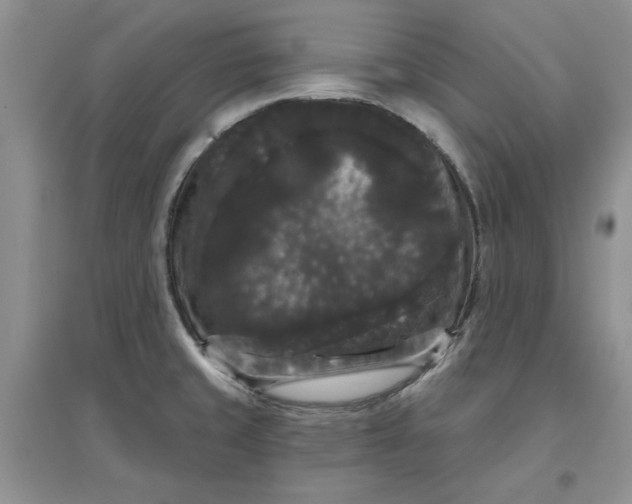 X0000097631429200803142015