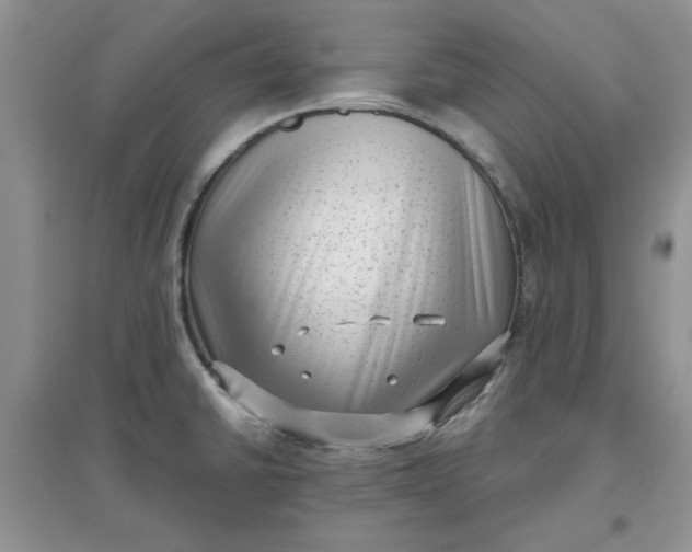 X0000097631430200803142015