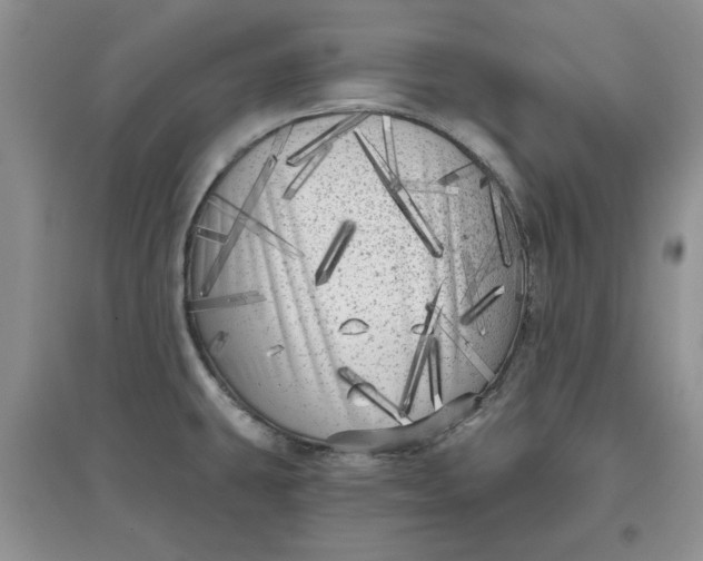 X0000097631431200803142015