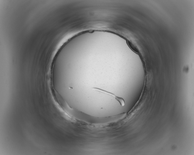 X0000097631432200803142015