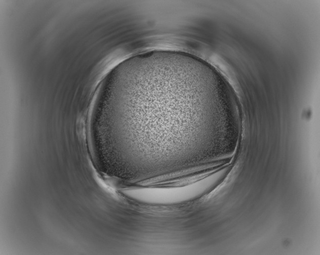 X0000097631433200803142015