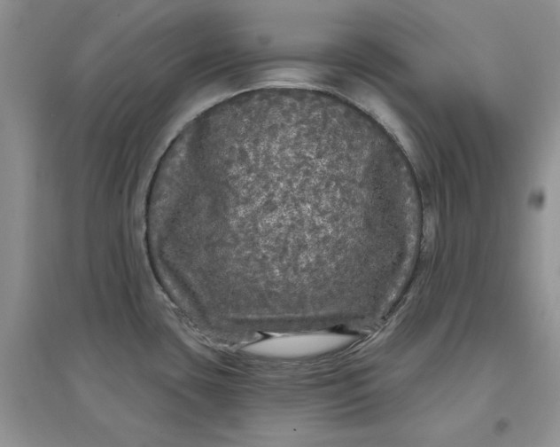 X0000097631435200803142015