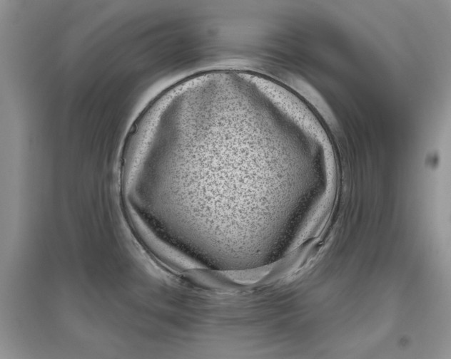 X0000097631436200803142015