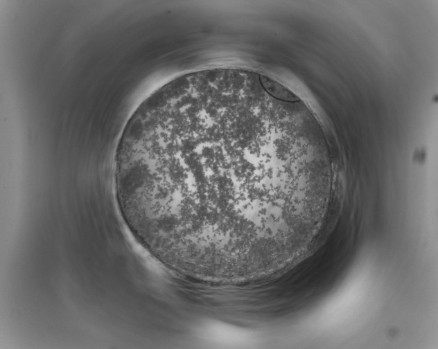 X0000097631439200803142015