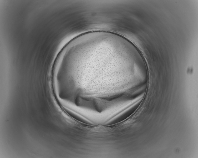 X0000097631440200803142015