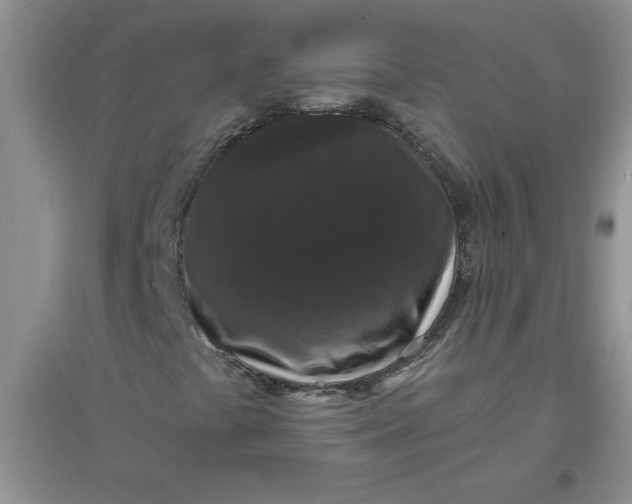 X0000097631441200803142014