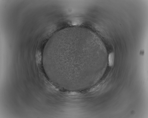 X0000097631443200803142014