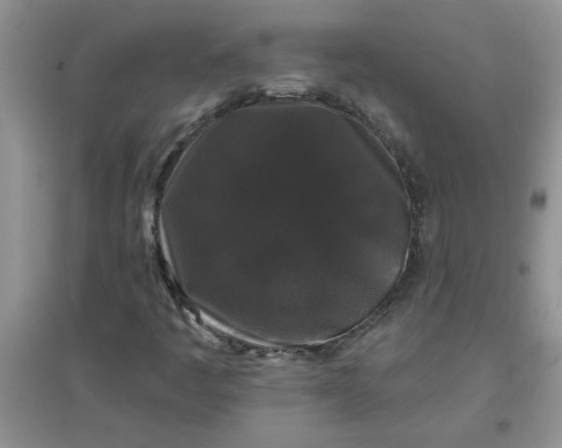 X0000097631445200803142014